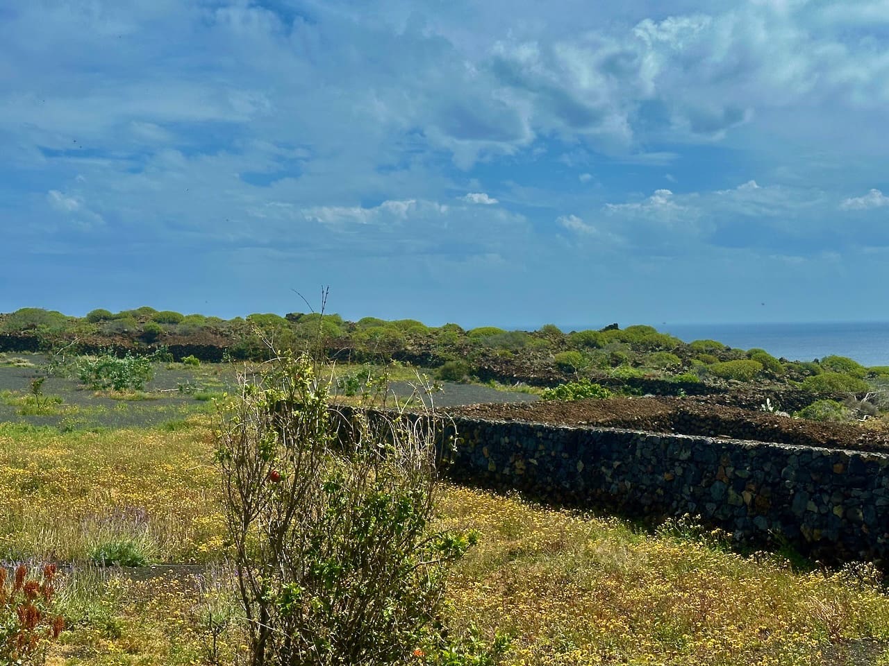 2 bedroom Finca/Country House for sale in Arrieta - € 425,000 (Ref: 9727022)