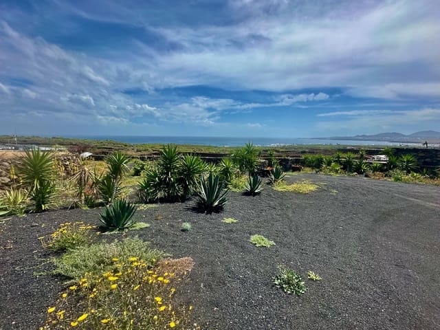 Finca/Casa Rural de 2 habitaciones en Arrieta, Haría en venta - 425.000 € (Ref: 9727022)
