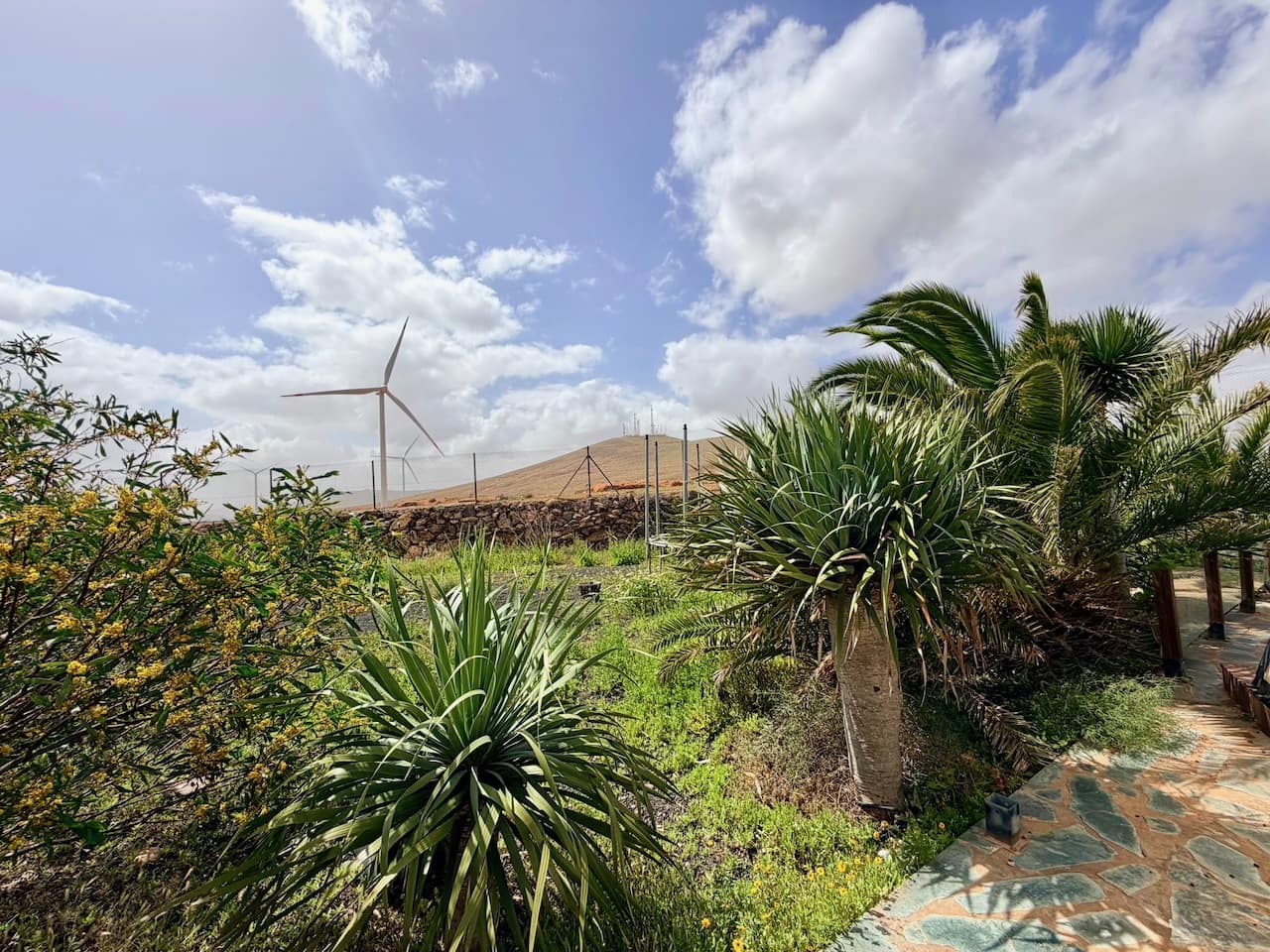 6 slaapkamer Villa te koop in El Time met zwembad garage - € 710.000 (Ref: 9769045)