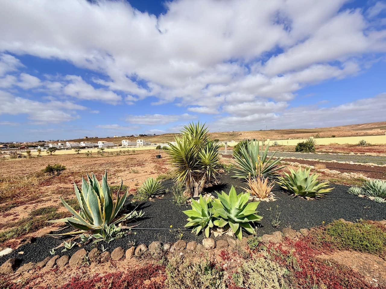 3 sypialnia Willa na sprzedaż w Triquivijate z basenem garażem - 570 000 € (Ref: 9769074)