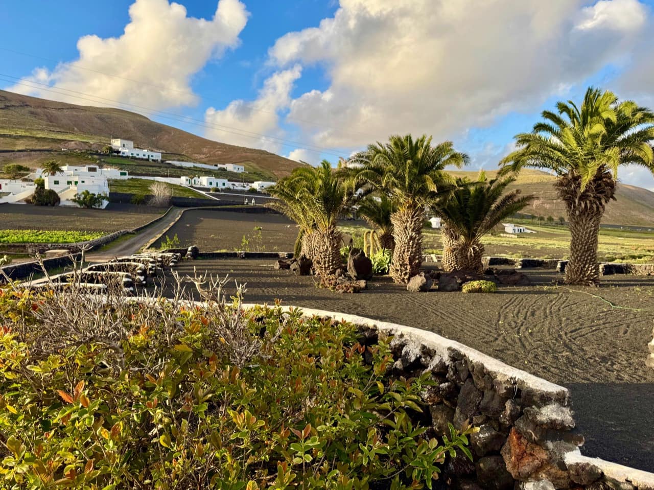 4 bedroom Finca/Country House for sale in Femes with garage - € 765,000 (Ref: 9781310)