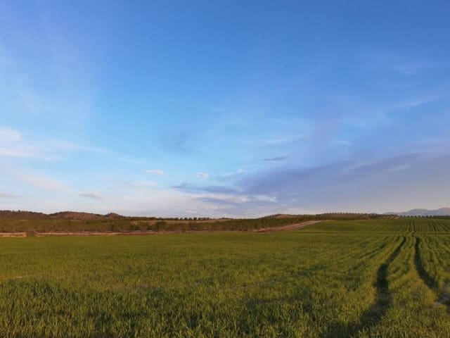 4 soveværelse Byhus til salg i Cúllar med garage - € 54.000 (Ref: 9552883)