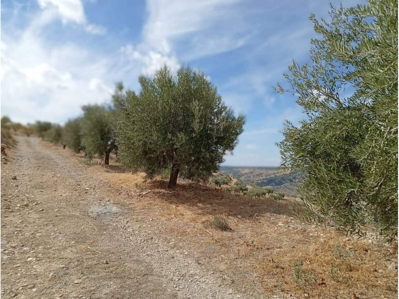 5 quarto Casa de Caverna para venda em Castril com garagem - 50 000 € (Ref: 9552891)