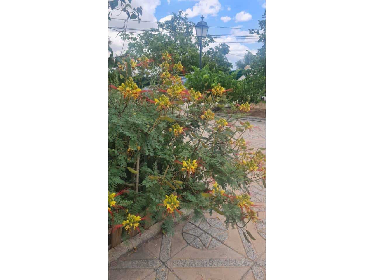 4 soveværelse Villa til salg i Baza med swimmingpool garage - € 260.000 (Ref: 9552930)