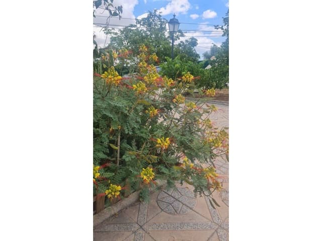 4 soveværelse Villa til salg i Baza med swimmingpool garage - € 260.000 (Ref: 9552930)