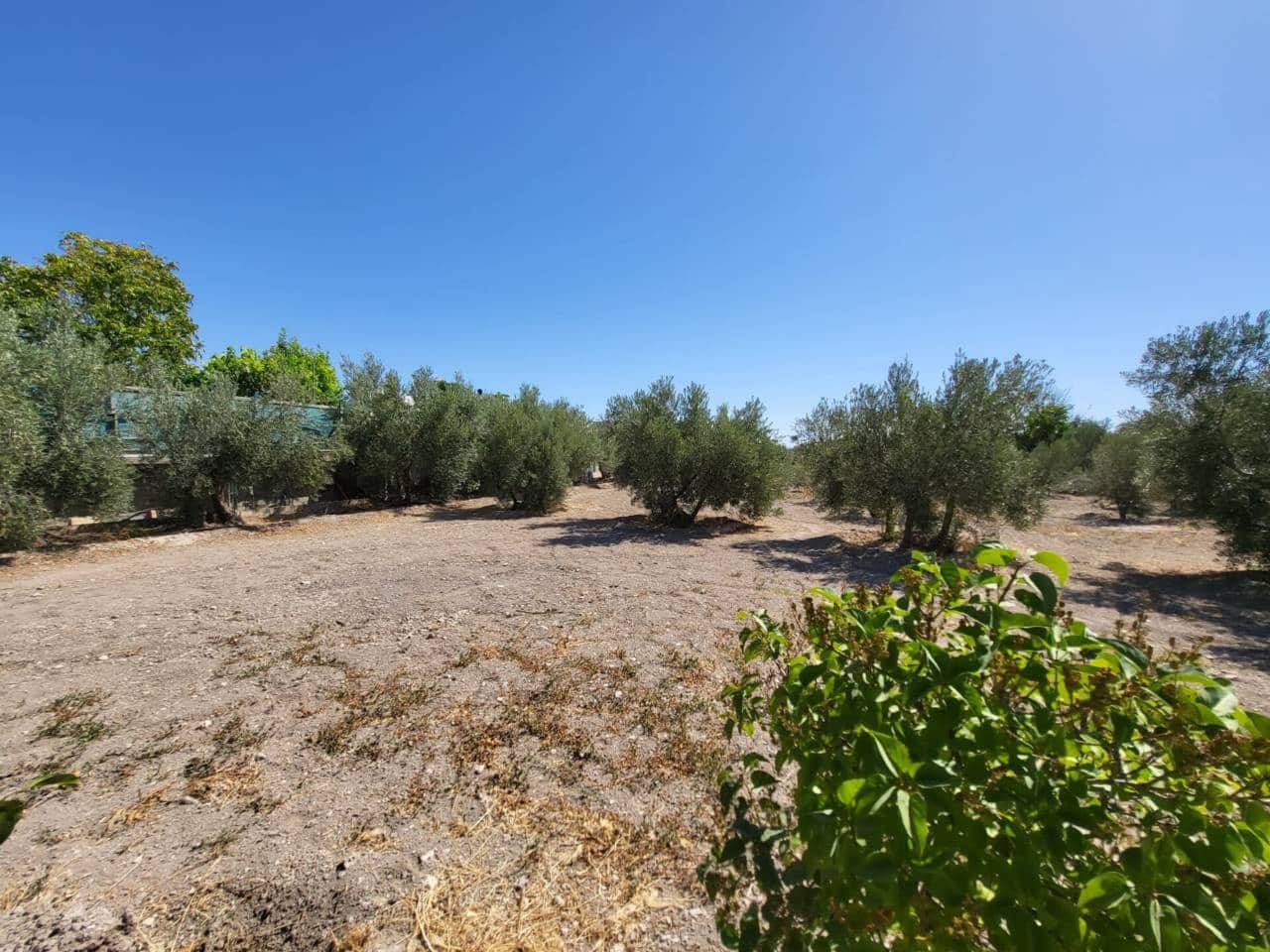 4 sypialnia Willa na sprzedaż w Baza z garażem - 140 000 € (Ref: 9552932)