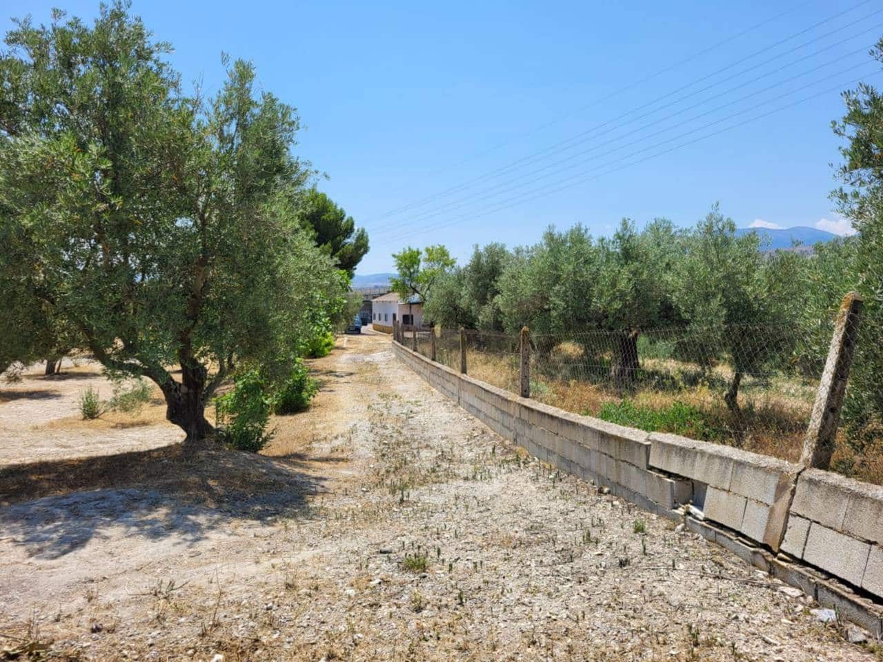 3 soveværelse Villa til salg i Baza med swimmingpool garage - € 290.000 (Ref: 9552934)