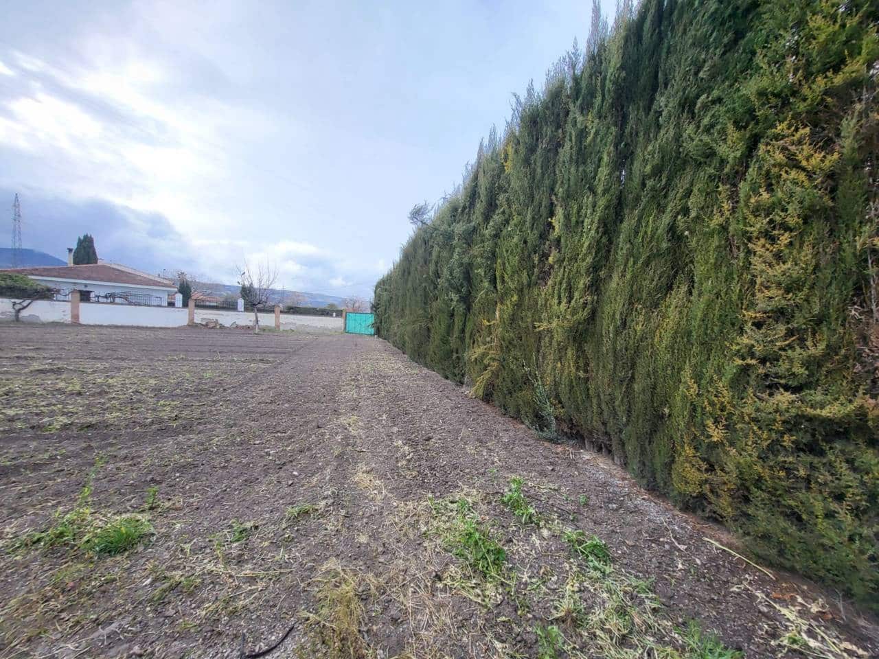 4 bedroom Villa for sale in Baza with pool garage - € 400,000 (Ref: 9719366)