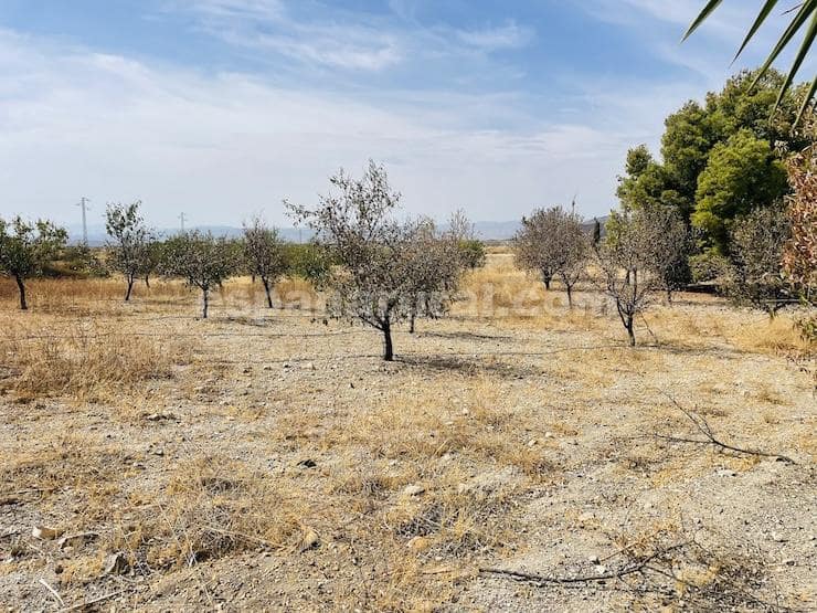4 chambre Finca/Maison de Campagne à vendre à Taberno avec piscine - 395 000 € (Ref: 10046663)