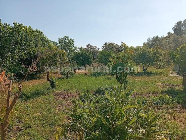 5 sypialnia Finka/Dom wiejski na sprzedaż w Purchena z basenem garażem - 175 000 € (Ref: 10127593)