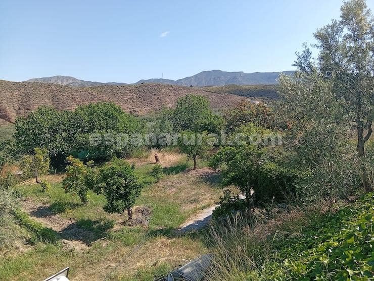 5 sypialnia Finka/Dom wiejski na sprzedaż w Purchena z basenem garażem - 175 000 € (Ref: 10127593)