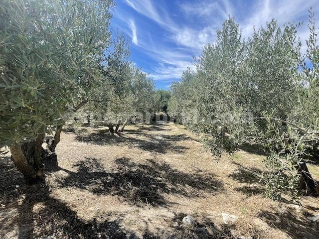 2 soverom Finca/Herregård til salgs i Tijola - € 51 000 (Ref: 3120636)