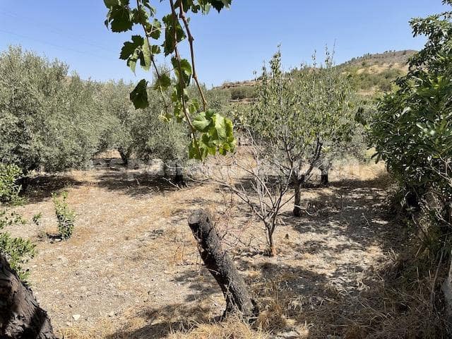 4 slaapkamer Finca/Landhuis te koop in Purchena - € 115.000 (Ref: 3120874)