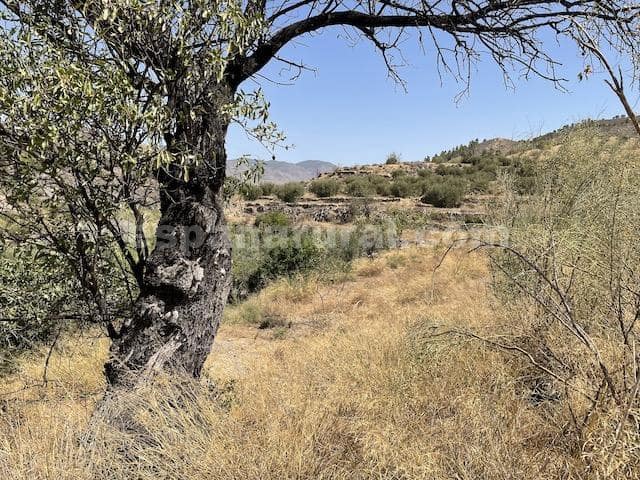 4 slaapkamer Finca/Landhuis te koop in Purchena - € 115.000 (Ref: 3120874)