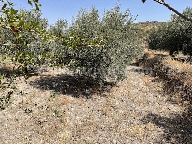 4 soveværelse Finca/Landehus til salg i Purchena - € 115.000 (Ref: 3120874)