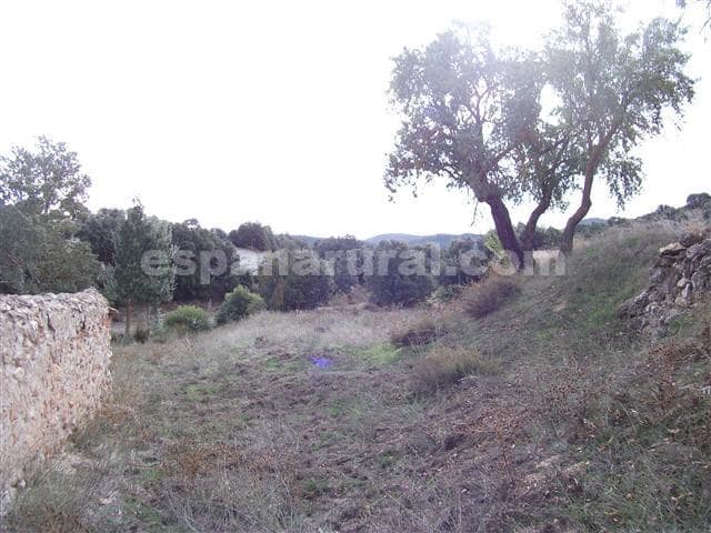 7 chambre Finca/Maison de Campagne à vendre à Baza - 85 000 € (Ref: 3120912)