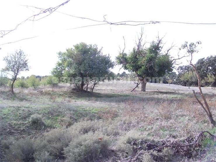 7 chambre Finca/Maison de Campagne à vendre à Baza - 85 000 € (Ref: 3120912)