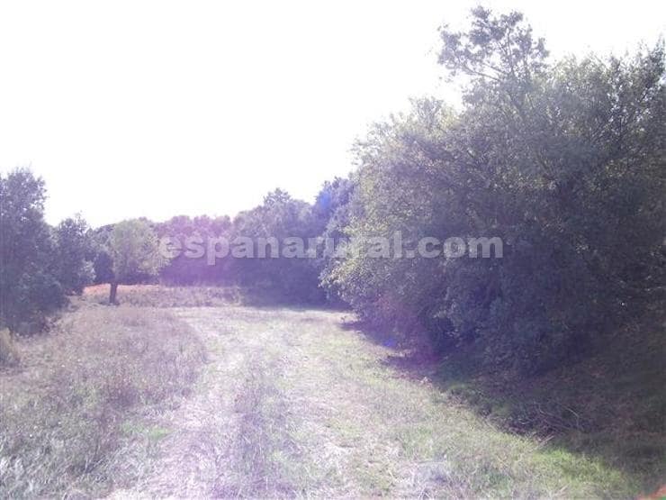 7 chambre Finca/Maison de Campagne à vendre à Baza - 85 000 € (Ref: 3120912)