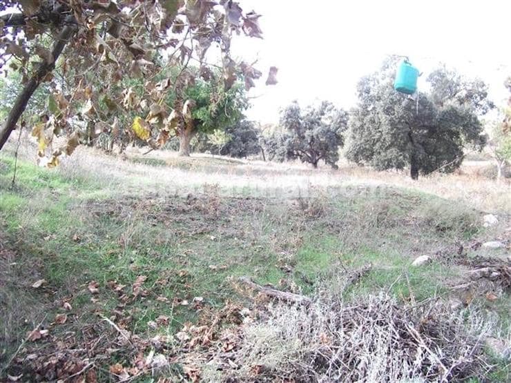 7 chambre Finca/Maison de Campagne à vendre à Baza - 85 000 € (Ref: 3120912)