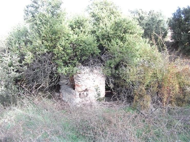 7 chambre Finca/Maison de Campagne à vendre à Baza - 85 000 € (Ref: 3120912)