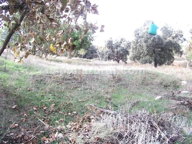 7 soveværelse Finca/Landehus til salg i Baza - € 85.000 (Ref: 3120912)