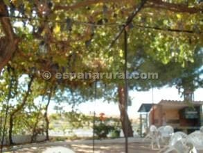 Virksomhed til salg i Baza - € 280.000 (Ref: 3610885)