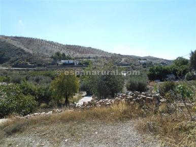 Finca/Casa Rural de 4 habitaciones en Albox en venta - 39.000 € (Ref: 3627027)