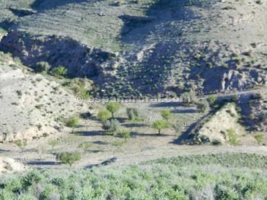 Grunde uden byggetilladelser til salg i Albox - € 46.000 (Ref: 3627034)