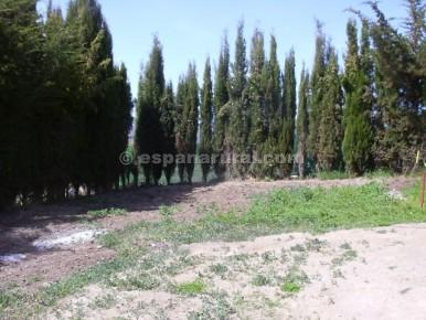 2 slaapkamer Finca/Landhuis te koop in Oria - € 95.000 (Ref: 3627101)