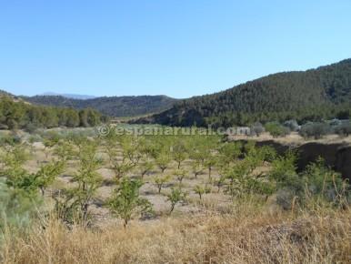 Finca/Herregård til salgs i Tijola - € 96 000 (Ref: 3627120)