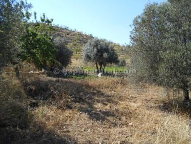 Finca/Herregård til salgs i Tijola - € 96 000 (Ref: 3627120)