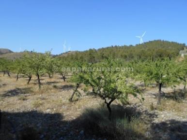 Finca/Herregård til salgs i Tíjola - € 96 000 (Ref: 3627120)