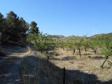 Finca/Herregård til salgs i Tíjola - € 96 000 (Ref: 3627120)