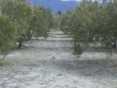 2 soveværelse Villa til salg i Somontín - € 119.000 (Ref: 3627285)