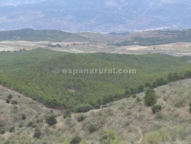 Finca/Landehus til salg i Tijola - € 94.500 (Ref: 3627308)