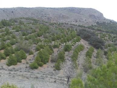 Finca/Landehus til salg i Tijola - € 94.500 (Ref: 3627308)