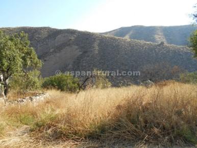 Finca/Landehus til salg i Arboleas - € 26.000 (Ref: 3627356)