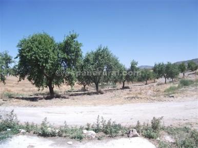 3 sovrum Finca/Hus på landet till salu i Baza - 54 000 € (Ref: 3627391)