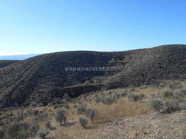 Undeveloped Land for sale in Partaloa - € 12,000 (Ref: 3799743)