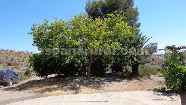 3 bedroom Finca/Country House for sale in Albox - € 97,000 (Ref: 3801386)