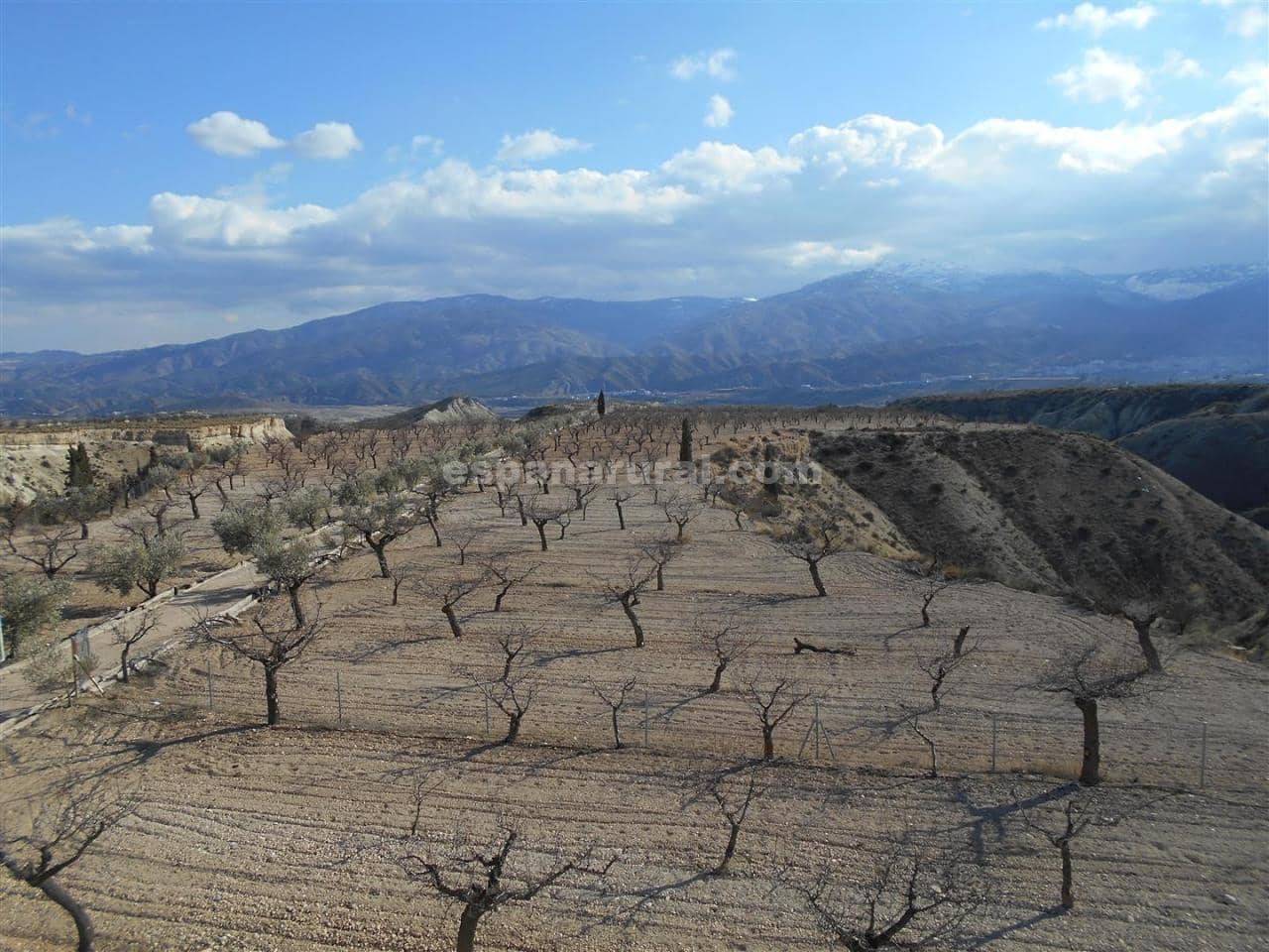 3 soveværelse Finca/Landehus til salg i Lucar - € 360.000 (Ref: 3812659)