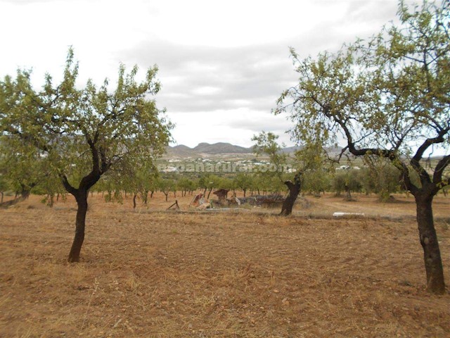 7 camera da letto Finca/Casa di Campagna in vendita in Oria - 129.000 € (Rif: 4023652)