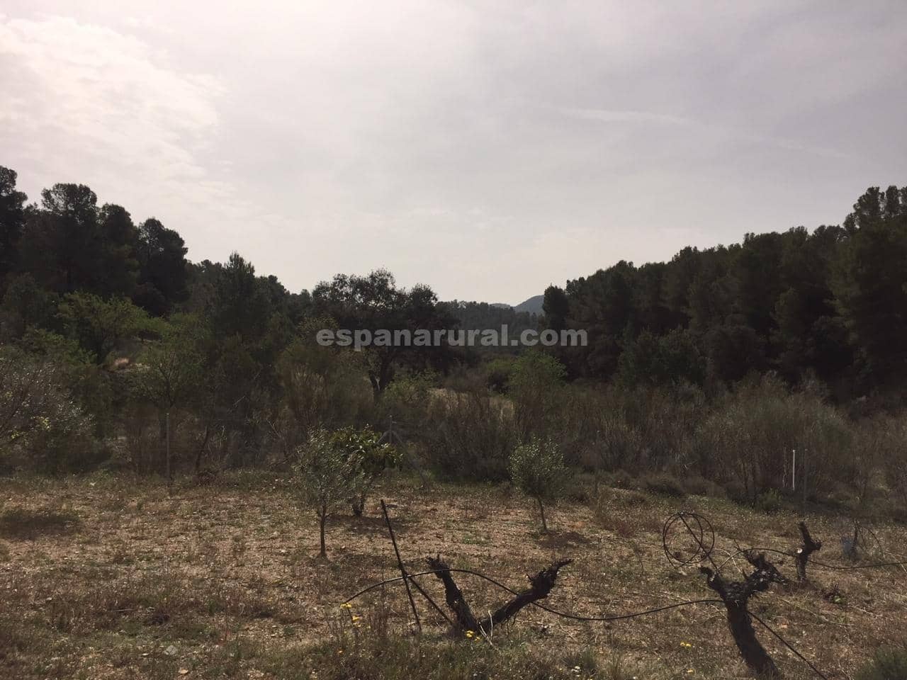 3 camera da letto Finca/Casa di Campagna in vendita in Fines - 99.000 € (Rif: 4130495)