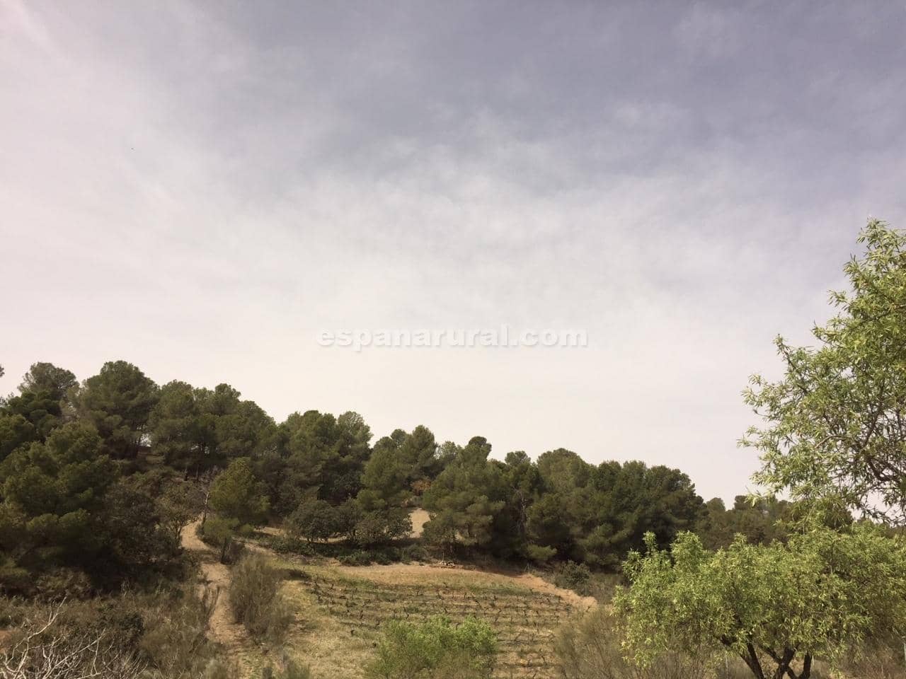 3 camera da letto Finca/Casa di Campagna in vendita in Fines - 99.000 € (Rif: 4130495)