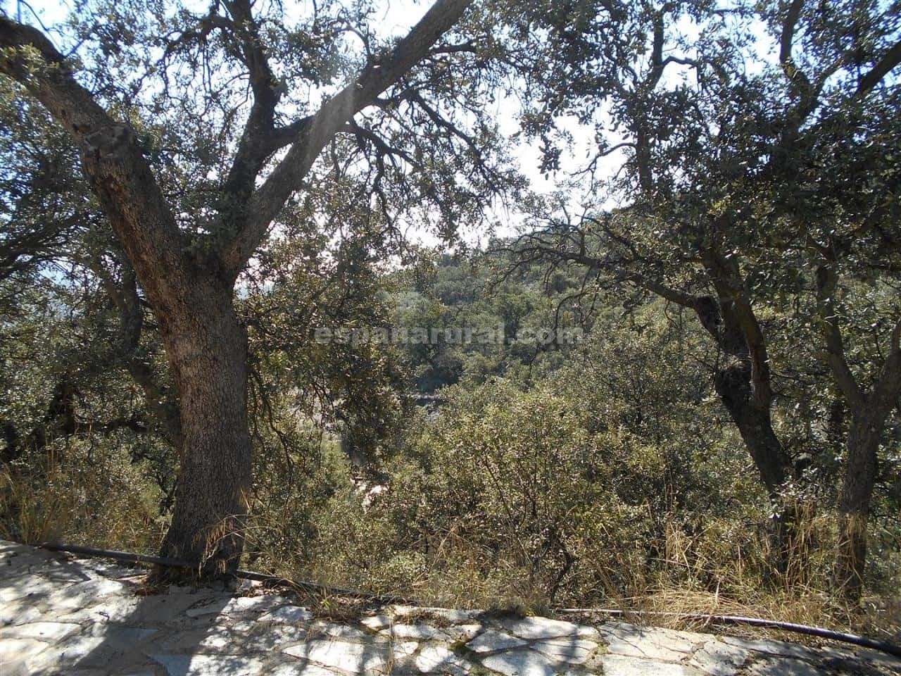 3 soveværelse Villa til salg i Tahal - € 109.995 (Ref: 4159554)