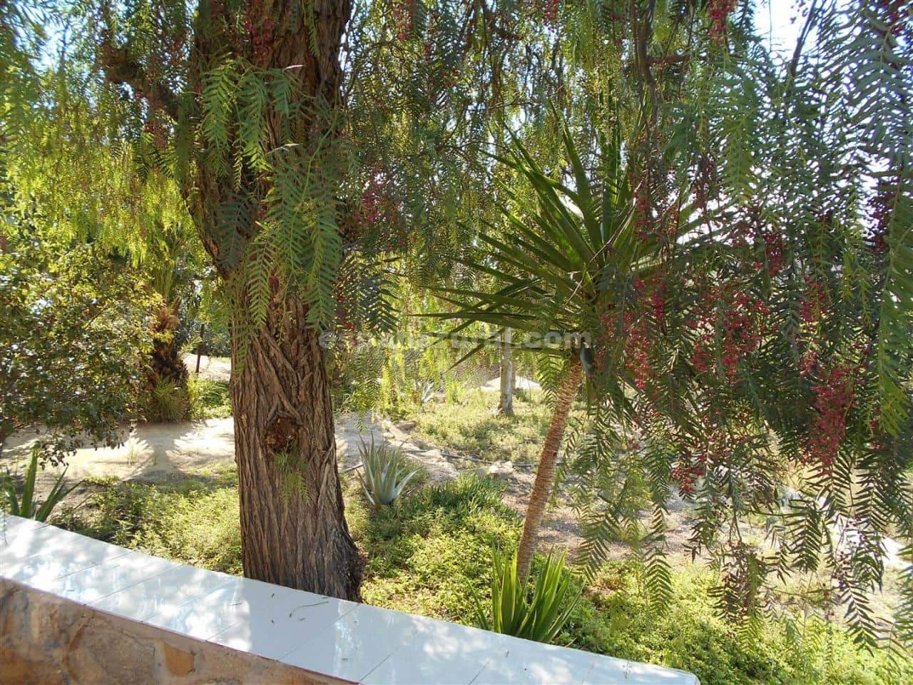 5 slaapkamer Finca/Landhuis te koop in Albox - € 159.000 (Ref: 4177286)