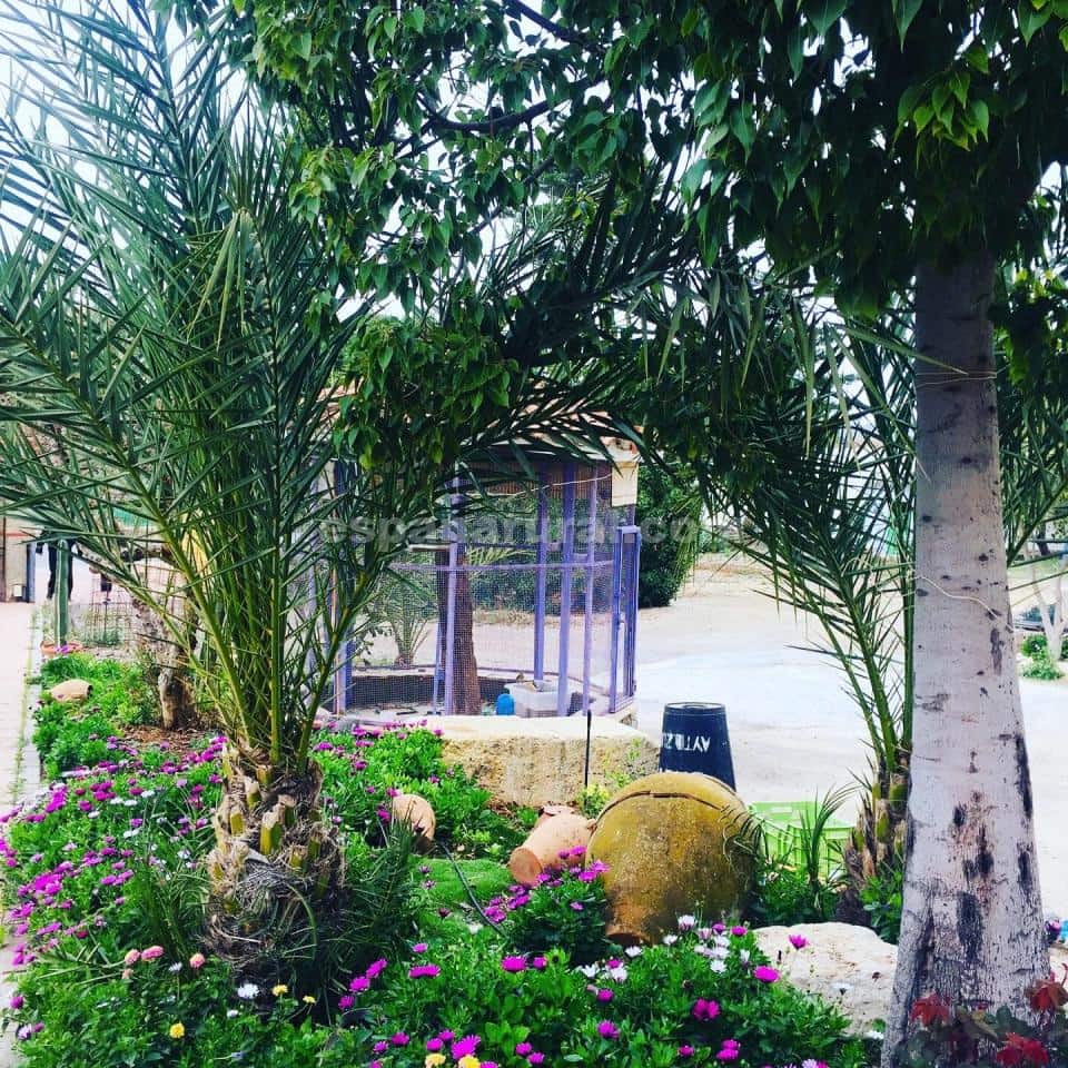 7 soveværelse Villa til salg i La Alfoquia med swimmingpool - € 450.000 (Ref: 4307624)