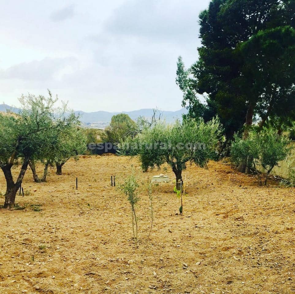 7 soveværelse Villa til salg i La Alfoquia med swimmingpool - € 450.000 (Ref: 4307624)