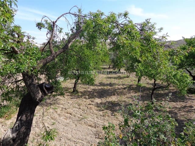 3 soverom Finca/Herregård til salgs i Albox - € 55 000 (Ref: 4524560)