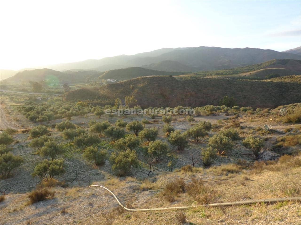 Grond te koop in Purchena - € 99.950 (Ref: 4892461)